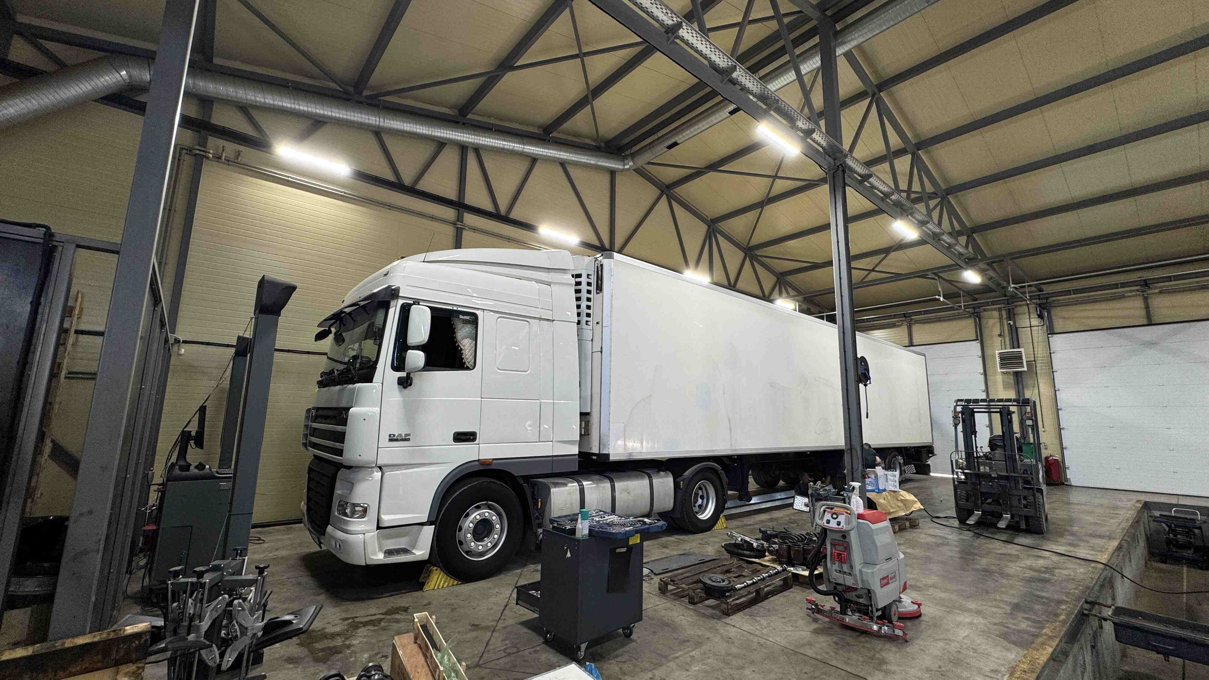 Daf
